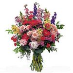 http://www.silvafiori.it/immagini/e-commerce/prod_25815_1.jpg
