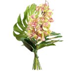 Orchidea confezionata a tema Natalizio